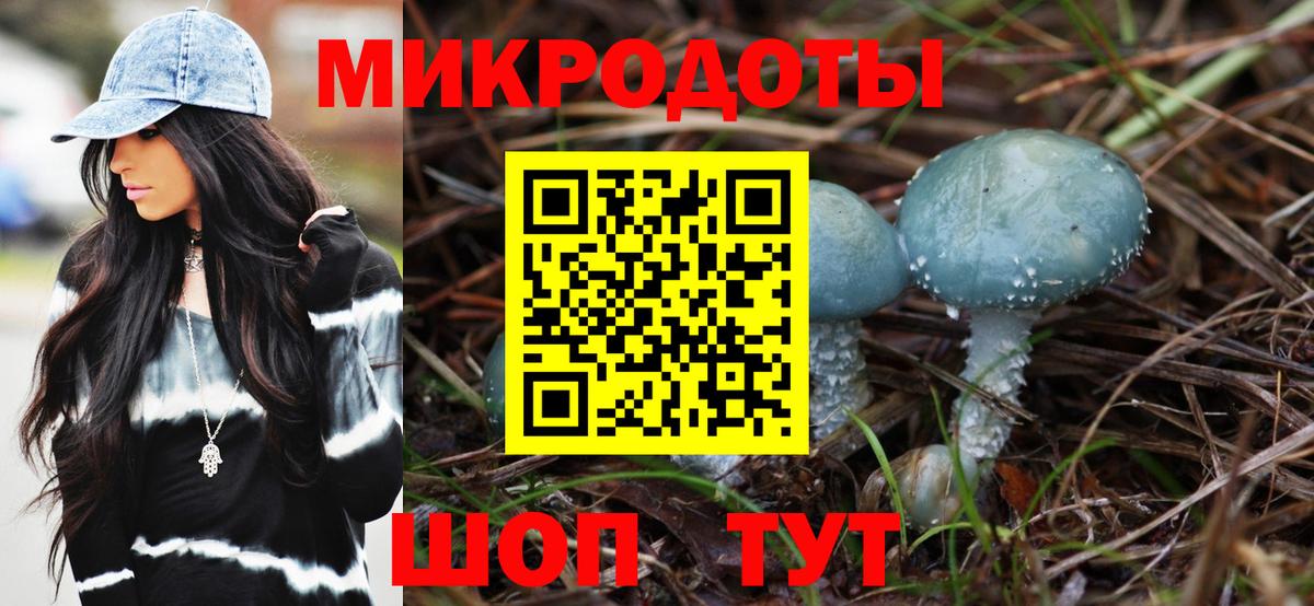 Галлюциногенные грибы Psilocybine cubensis Шахты